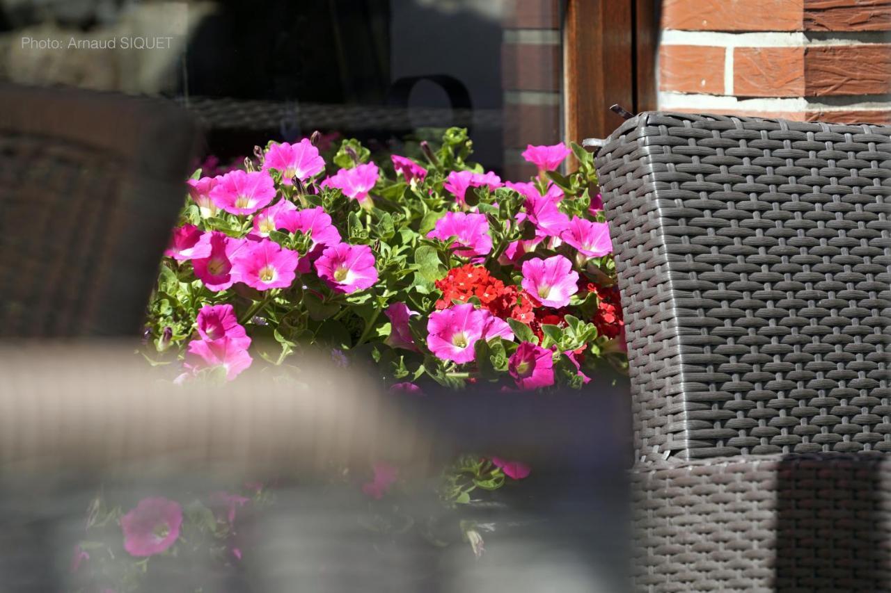 Ferme St Martin Bed and Breakfast Manhay Εξωτερικό φωτογραφία